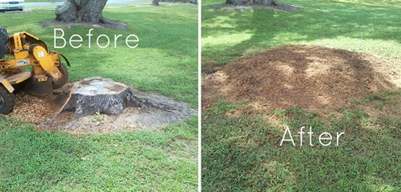 Stump Grinder Before And After