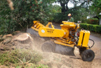 Picture of stump grinding in progress